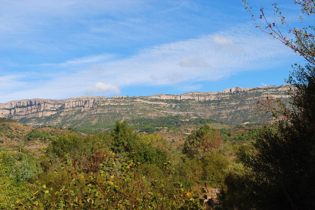 Masia El Riscle - Moli Del Pont Guest House Cornudella de Montsant Exterior photo